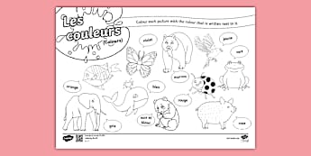French: Colours Activity Sheet