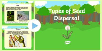 KS2 - Types of Seed Dispersal PowerPoint - Primary Resource