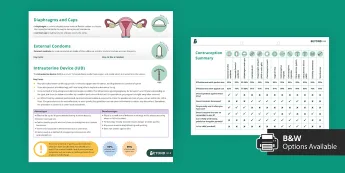 Contraception Quick Guide.pdf Contraception Health Guides | twinkl.com.au