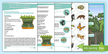 Rainforest Resources Ks2 Primary