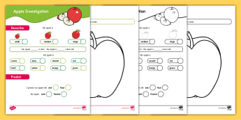 kindergarten science worksheets and activities twinkl usa