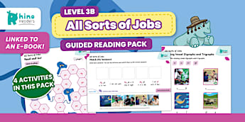 Level 3 Guided Reading Packs - Twinkl