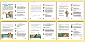 Reading Curriculum - Guided Reading Activities KS2 -- Twinkl