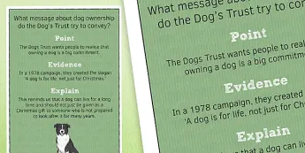 Pee English Examples Poster PEE Paragraph Posters | twinkl.co.uk