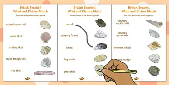British Geography Activities | twinkl.co.uk