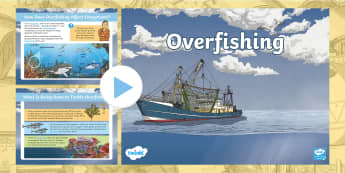 Overfishing Facts KS2 | PowerPoint | Twinkl Originals
