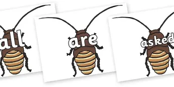 Cockroach Riddle Cockroach Word Resources | twinkl.co.uk