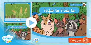 كُتيب القراءة الموجّهة - المستوي الأول
learn Arabic Phonics and Letters: A Fun and Engaging Guide for Kids