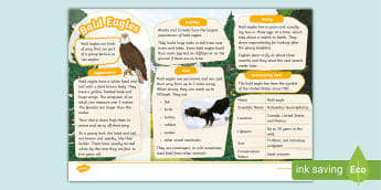 Birds - Animals - Topics - KS2 - Twinkl