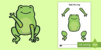 What is a Frog? Informational Teaching Wiki - Twinkl