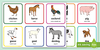 Farm Animals Matching Cards | twinkl.com.au