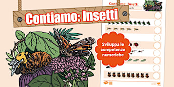 Contiamo: Insetti