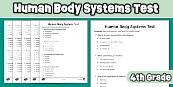 Human Body Systems Worksheets & Printables | Grade 4 | Twinkl