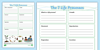 Science Fact File Template • Twinkl.com.au
