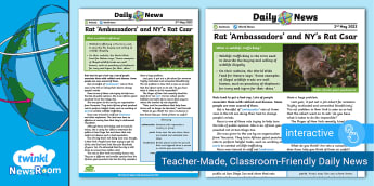 Rat ‘Ambassadors’ and NY's War on Rats - Daily NewsRoom Article (ages 7-11)