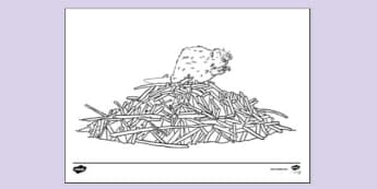 Free Beaver Dam Colouring Sheet Colouring Sheets