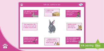 Rabbit Care Guide Example Pet Care Guides | twinkl.com.au