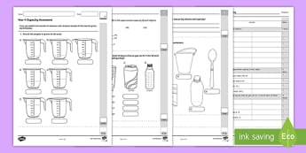 * NEW * Year 4 Capacity Assessment Sheet