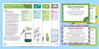 Science In Eyfs Rainforest Sciences | twinkl.co.uk