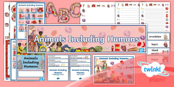 Year 6 Science Resources - Healthy Bodies Lesson Plans