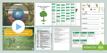 Pecyn Gweithgareddau Perthnasoedd mewn Ecosystemau: Sut Mae Anifeiliaid yn Gysylltiedig o fewn Gwe Fwyd