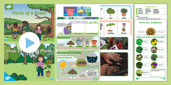 Gardens, Flowers, And Plants Resources For Parents - Twinkl