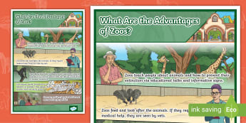 What Are the Advantages of Zoos? Display Poster