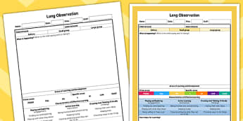 EYFS Long Observation Sheet - planning, EYFS assessment