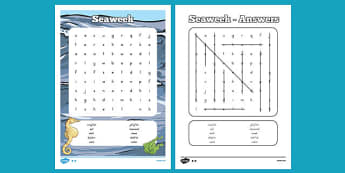 Under the Sea Word search