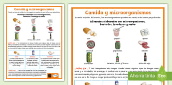 B1 Hoja informativa: Comida y países en inglés - Twinkl