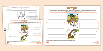 Animals Mind Map • Twinkl.com.au