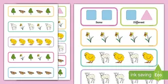 Same and Different Cards | twinkl.com.au