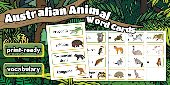 Australian Animals | Topics | EYLF | Australian Resources