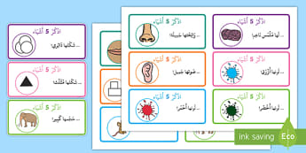 ألعاب لغة عربية للصف الأول-ألعاب تعليمية للصف الأول-ابتدائي