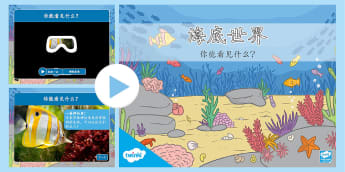 海底世界 你能看见什么？