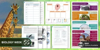 KS3 Science Activities | twinkl.com.au