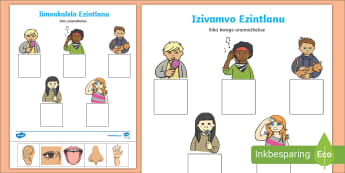 isixhosa resources for your class topics south africa