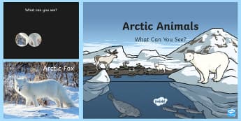 Winter Arctic Animals Powerpoint North Pole