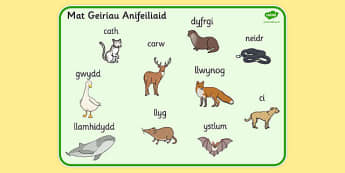 Fun Illustrated Welsh Animal Word Mat | Learning Resources