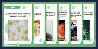 Microorganisms Fact File Microorganisms Resources | twinkl.co.uk