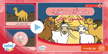 كُتيب القراءة الموجّهة -المستوي الثاني
learn Arabic Phonics and Letters: A Fun and Engaging Guide for Kids