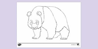 Free Red Panda Colouring Colouring Sheets