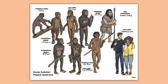 caveman evolution timeline