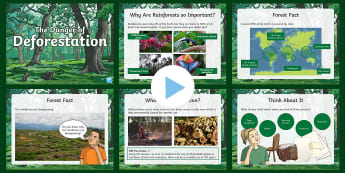 Deforestation persuasive writing