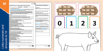 EYFS Links Numerals and Amounts to 5 Adult Input Plan & Pack