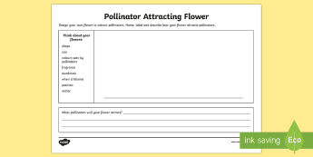 Pollination Resources | twinkl.co.uk