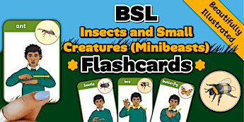 Common Minibeasts | twinkl.com.au