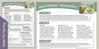 Bird Spring Eyfs Spring Birds Activities | twinkl.co.uk
