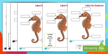 Printable Ocean Pencil Control Activity