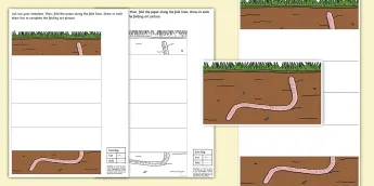 Worm Activities for Children | twinkl.co.uk